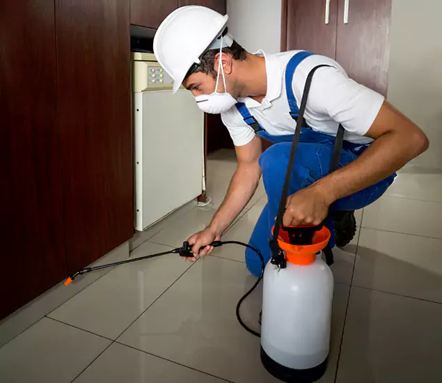 Advanced Termite Pre Treatment Experts in Cranford, NJ