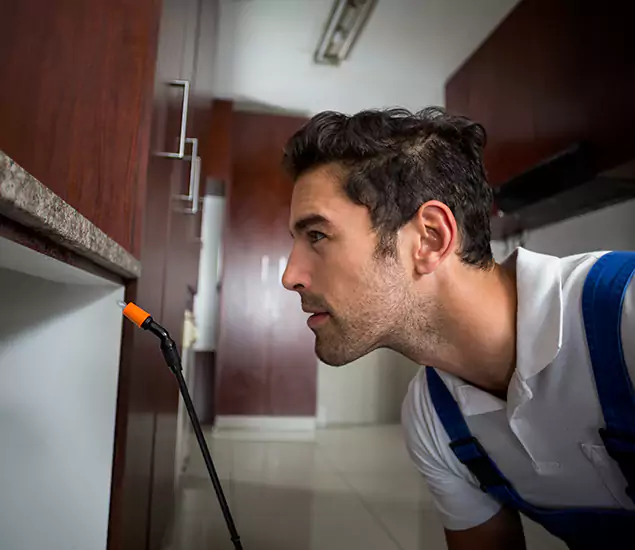 Expert Rodent in Attic Removal: Your Proven Pest Specialists in Cranford, NJ