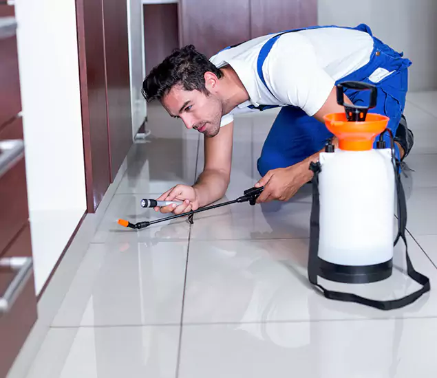 Advanced Slab Termite Treatment Experts You Can Trust&nbsp;in Cranford, NJ