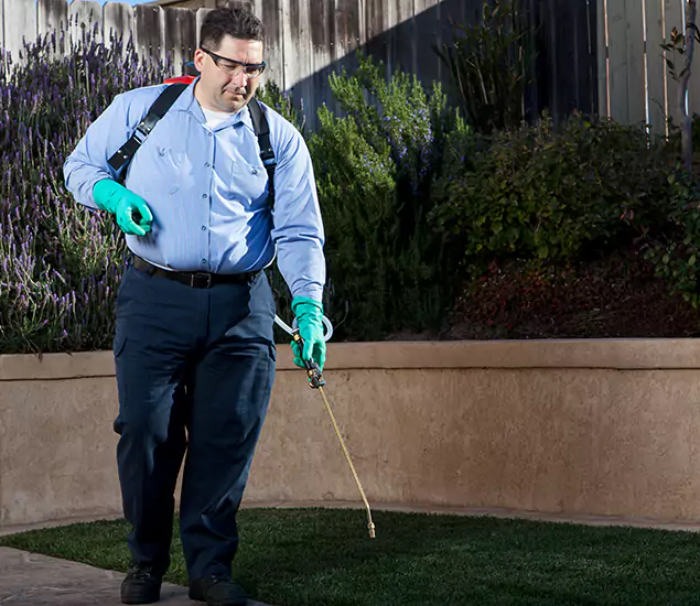Reliable Termite Barrier Treatment Experts in Cranford, NJ