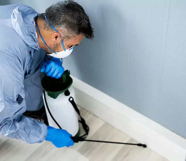 Reliable Termite Cost Experts in Cranford, NJ