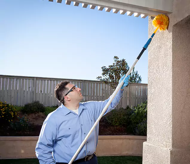 Your Trusted Wasp Removal Company in Cranford, NJ
