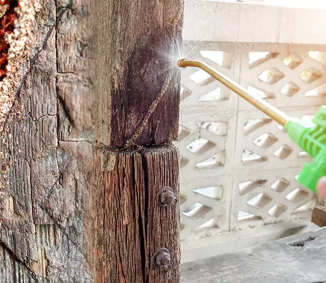 About Wood Termite Treatment Services in Cranford, NJ