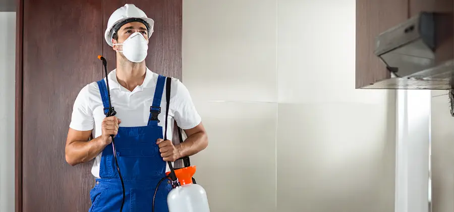 Per Room Bed Bug Cost in Cranford