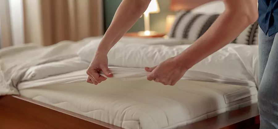 Bed Bug Extermination Services in Cranford