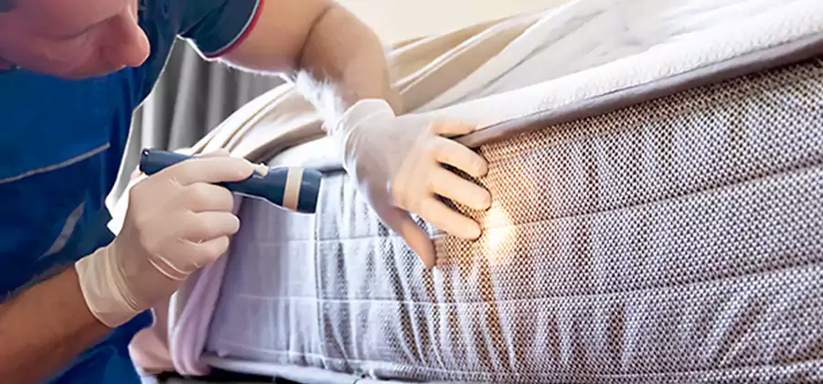 Residential Bed Bug Treatment Cost in Cranford