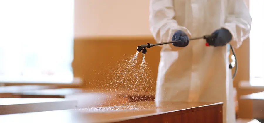 Residential Bed Bug Treatment Option in Cranford
