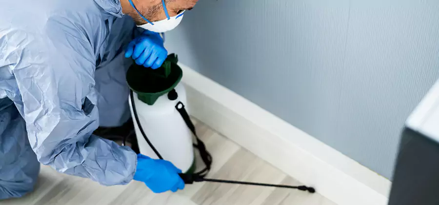 Fumigate Apartment Roaches in Cranford