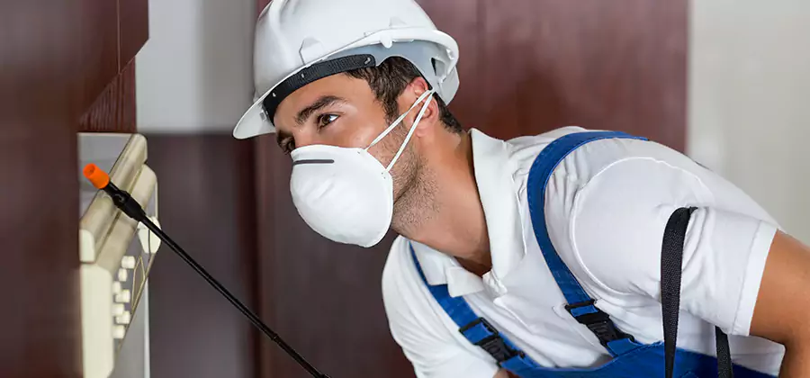 Injection Foam Treatment for Drywood Termites in Cranford
