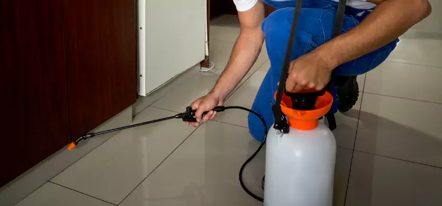 Indoor Mosquito Treatment in Cranford