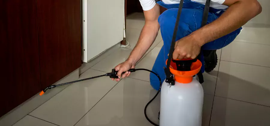 Indoor Insect Killer Solutions in Cranford