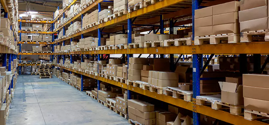 Warehouse Pest Control in Cranford