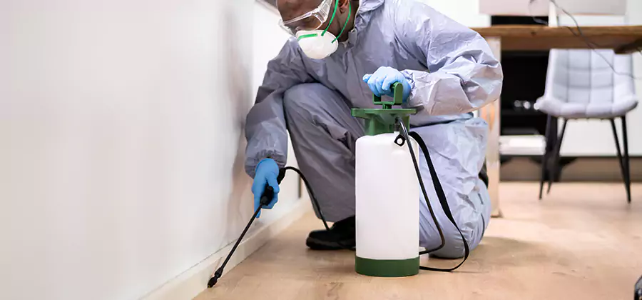 Long Lasting Mosquito Treatment in Cranford