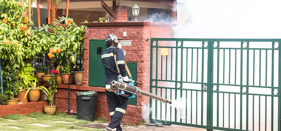 Backyard Mosquito Foggers Service in Cranford
