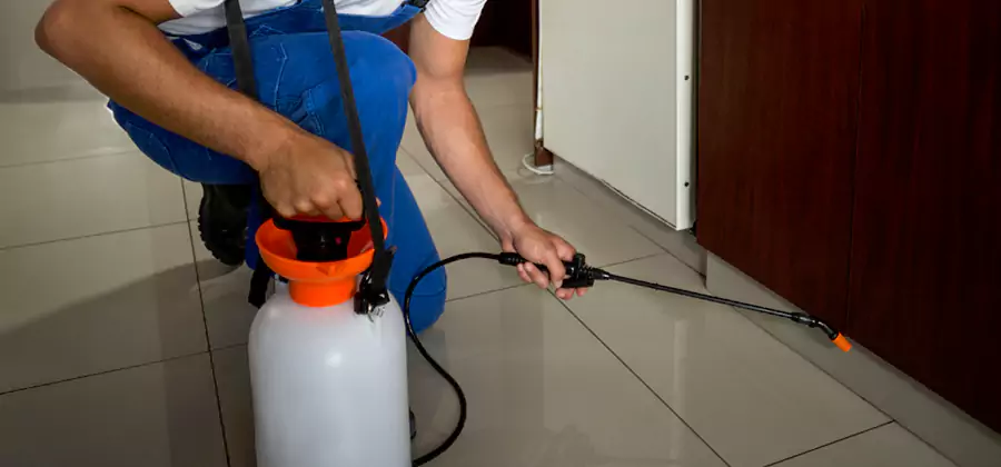 One Time Termite Control in Cranford