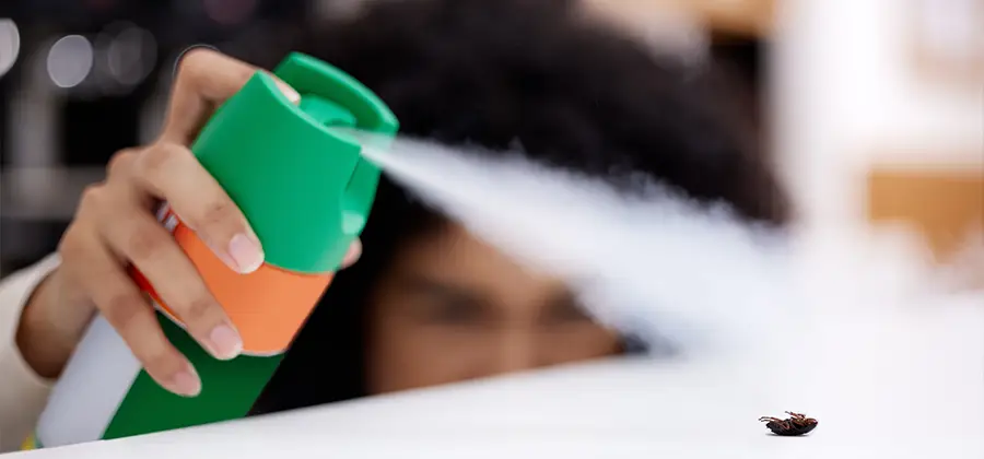 Child Safe Bed Bug Treatment in Cranford