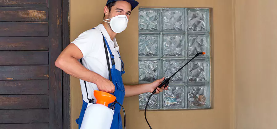 Pre-Construction Termite Treatment in Cranford