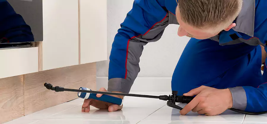Moisture Treatment For Termite Control Service in Cranford