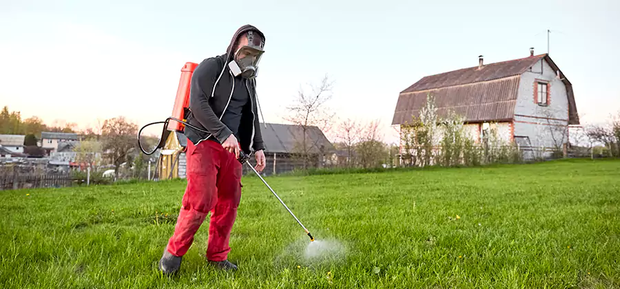 Flea and Tick Pest Control in Cranford