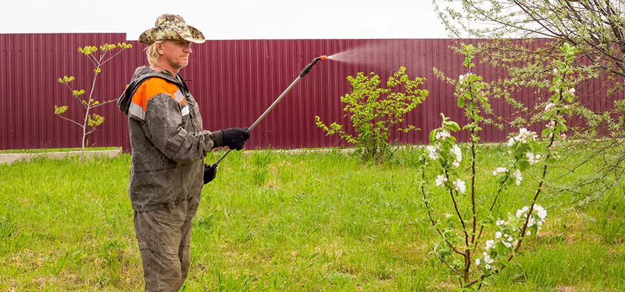 Flea and Tick Spray for Yard in Cranford