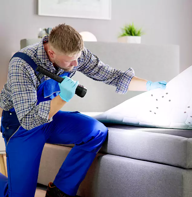 Why Choose Cranford Pest Control Pro for Bed Bug Exterminator Cost in Cranford, NJ?
