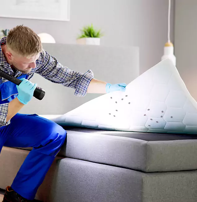 Why Choose Cranford Pest Control Pro in Cranford, NJ?
