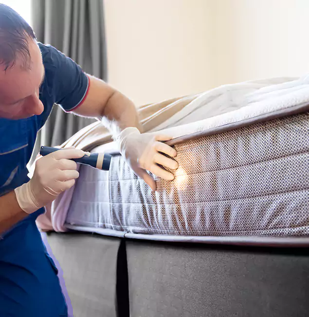 Why Choose Cranford Pest Control Pro for Bed Bug Services in Cranford, NJ?