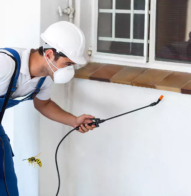 Why Cranford Property Owners Choose Cranford Pest Control Pro for Bee Nest Removal?