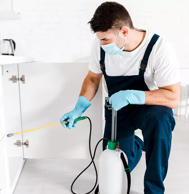 Why Choose Cranford Pest Control Pro for Emergency Pest Control in Cranford?
