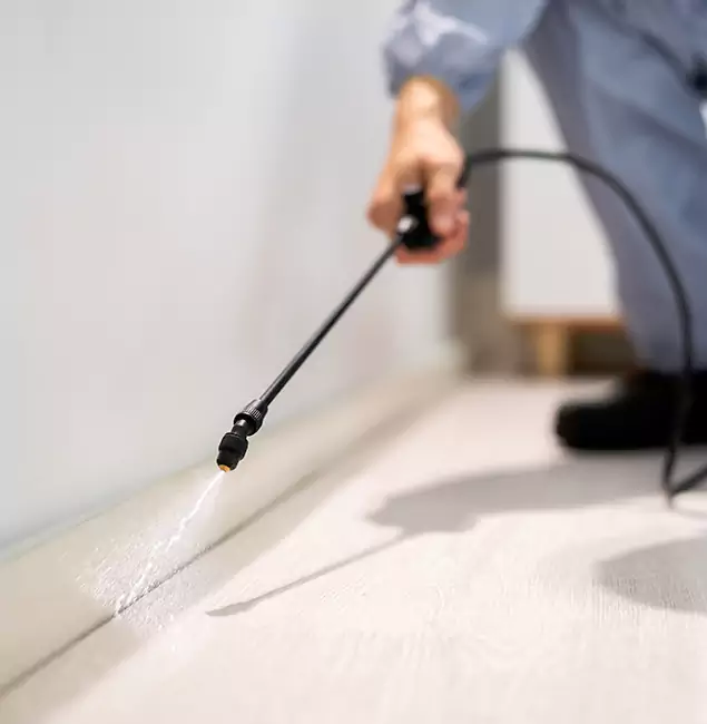 Why Choose Cranford Pest Control Pro for Termite Treatment in Cranford, NJ?