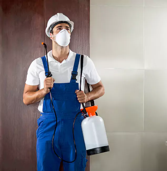 Why Choose Us for Heat Treatment for Termites in Cranford, NJ?