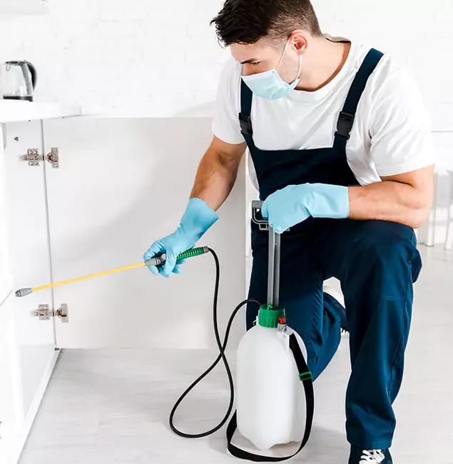 Why Choose Cranford Pest Control Pro for Indoor Pest Control in Cranford, NJ?