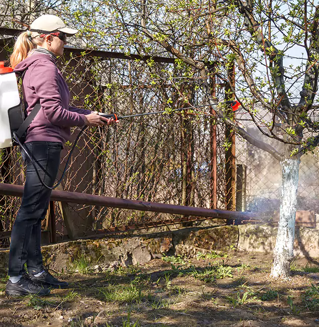 Why Cranford Homeowners Choose Cranford Pest Control Pro for Mosquito Abatement?