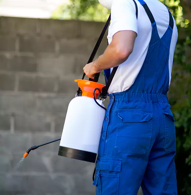 Why Cranford Homeowners Rely on Cranford Pest Control Pro for Mosquito Control?