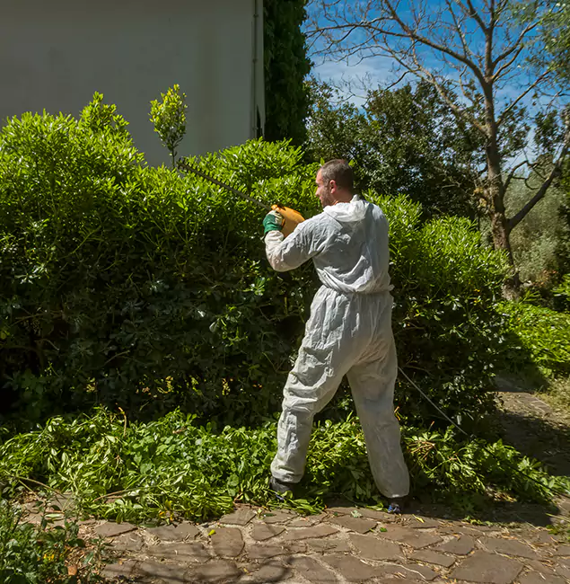 Why Cranford Pest Control Pro Leads Mosquito Control in Cranford, NJ?