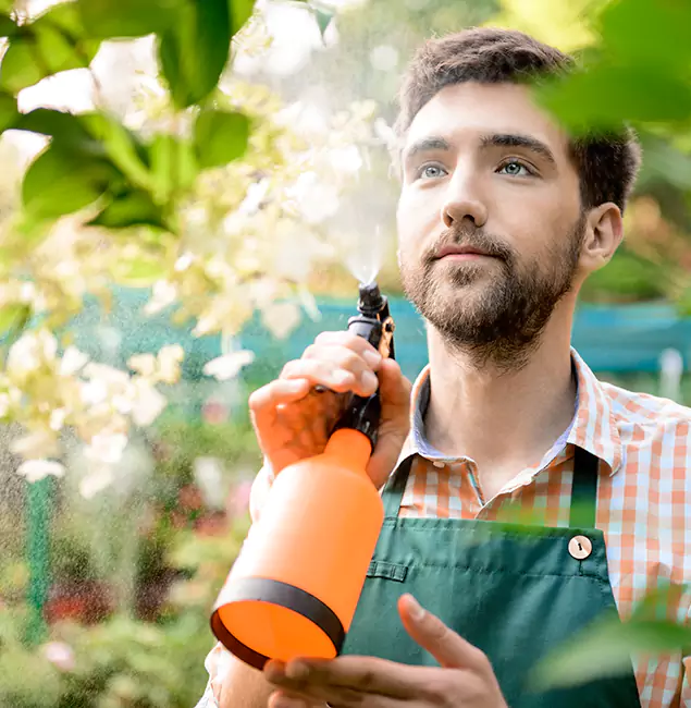 Why Cranford Pest Control Pro Is the Best Mosquito Control Company in Cranford, NJ?