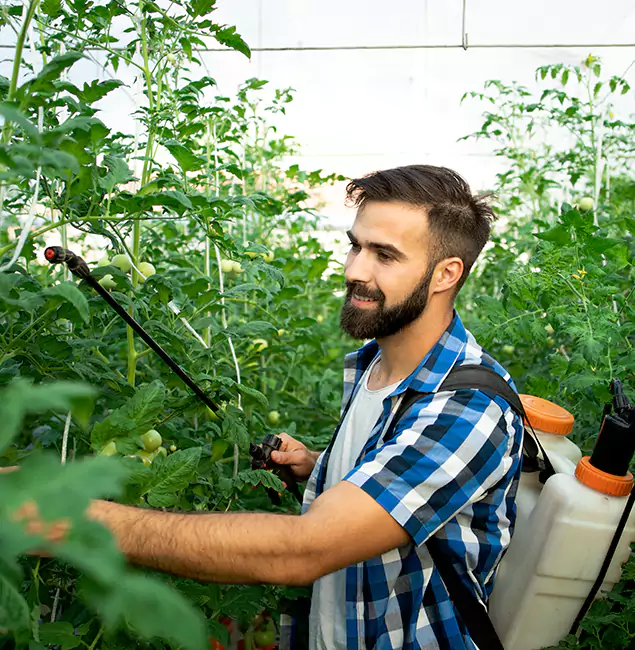 Why Cranford Homeowners Choose Cranford Pest Control Pro for Mosquito Spraying?