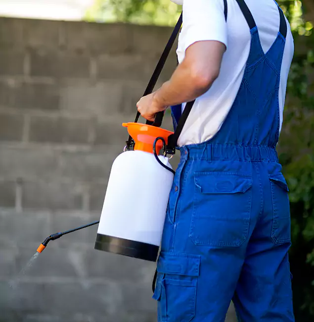 Why Cranford Pest Control Pro Delivers the Best Mosquito Control in Cranford, NJ?