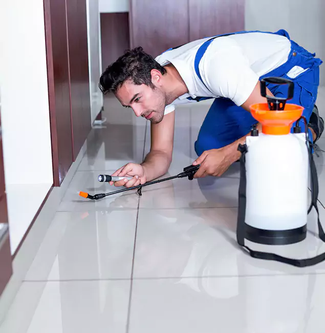 Why Cranford Pest Control Pro Is the Proven Choice in Cranford, NJ?