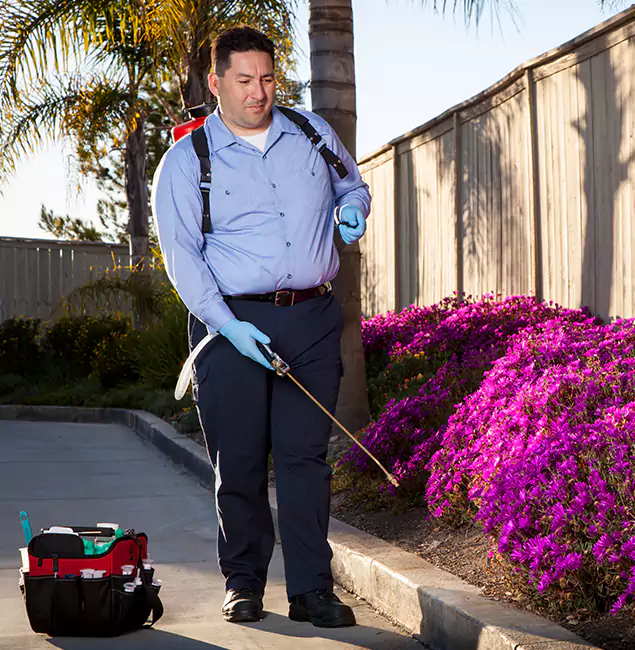 Why Choose Cranford Pest Control Pro in Cranford, NJ?
