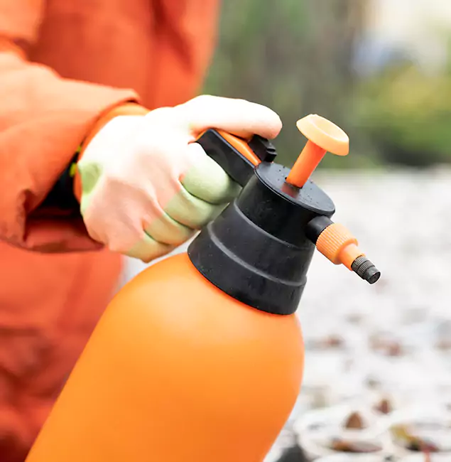 Why Choose Cranford Pest Control Pro for Orange Termite Treatment in Cranford, NJ?