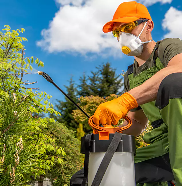 Why Choose Cranford Pest Control Pro for Outdoor Pest Control in Cranford, NJ?