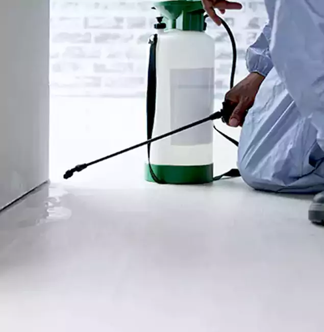 Why Choose Cranford Pest Control Pro for Rat Exterminator in Cranford, NJ?