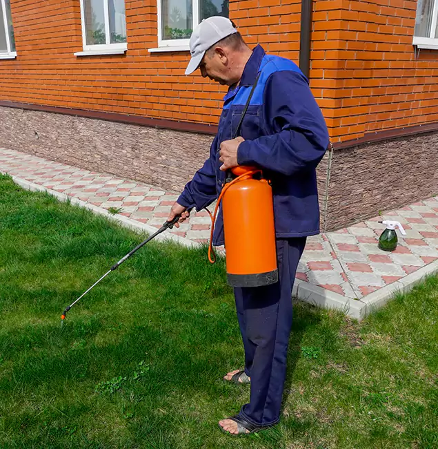 Why Choose Cranford Pest Control Pro for Residential Pest Control in Cranford, NJ?