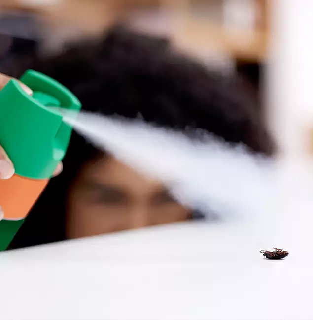 Why Cranford, NJ Homeowners Choose Cranford Pest Control Pro for Roach Pest Control?