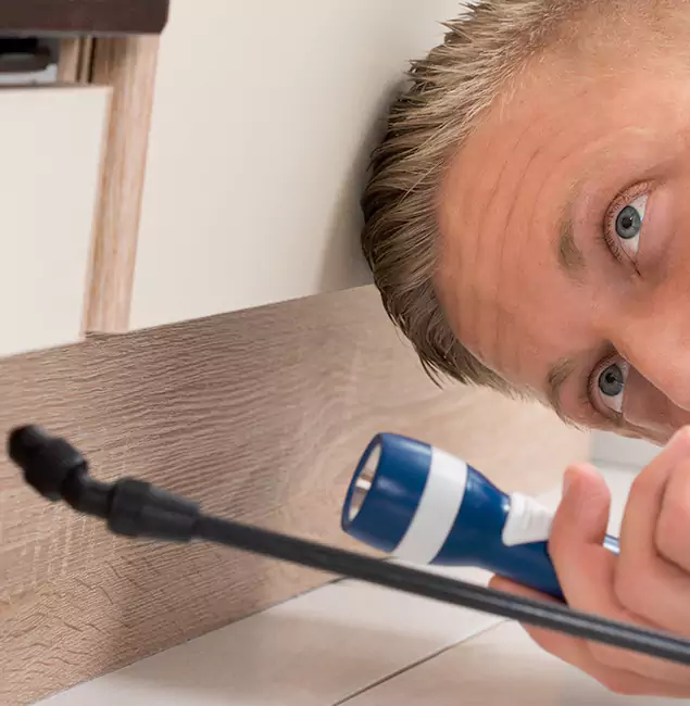 Why Choose Cranford Pest Control Pro for Rodent Exterminator in Cranford, NJ?