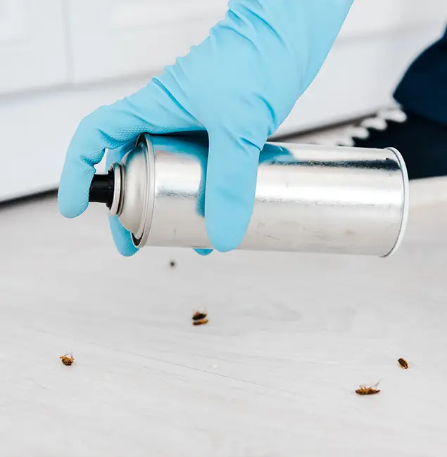 Why Choose Cranford Pest Control Pro for Safe Bed Bug Treatment in Cranford, NJ?