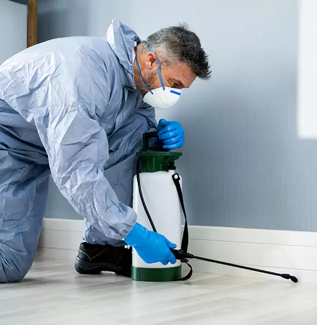 Why Choose Cranford Pest Control Pro for Subterranean Termites Treatment in Cranford, NJ?