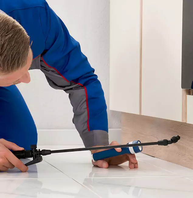 Why Cranford Residents Choose Cranford Pest Control Pro to Get Rid of Sugar Ants?