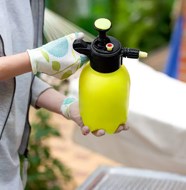 Why Choose Us: Cranford Pest Control Pro Termite Spraying Experts in Cranford, NJ?
